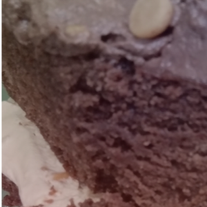 VEGAN _ Chocolate Peanutbutter Cake